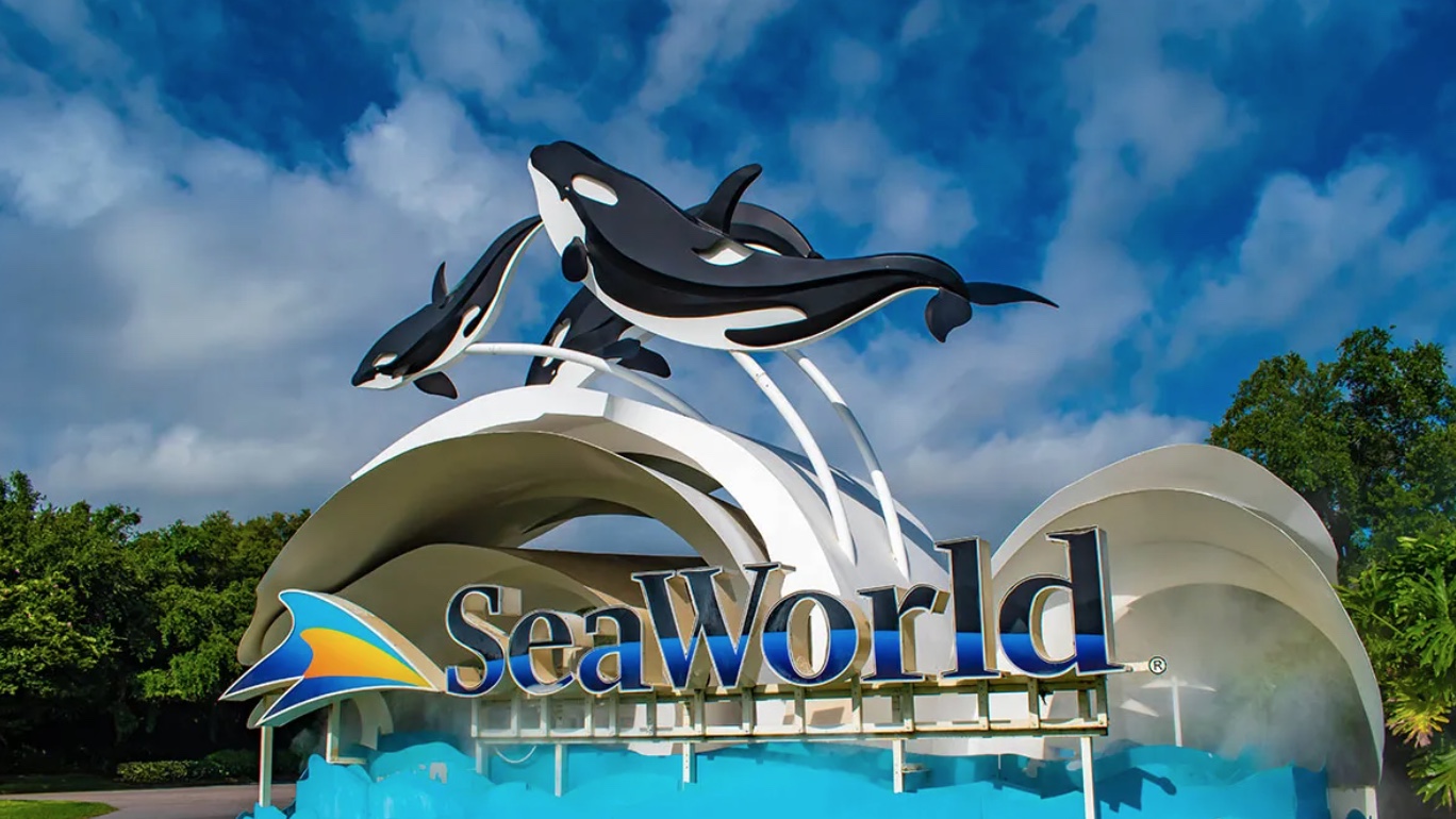 link to Seaworld